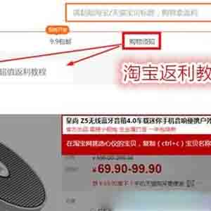 淘宝返利哪个最好?这样做双十一购物更“省”一筹